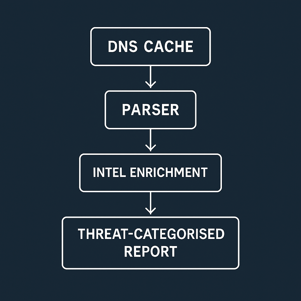 Flow: DNS cache → parser → intel → report