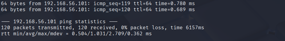 Attacker: ping stats output