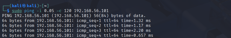 Attacker: ping flood